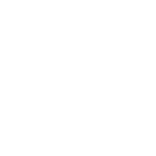 police-hat
