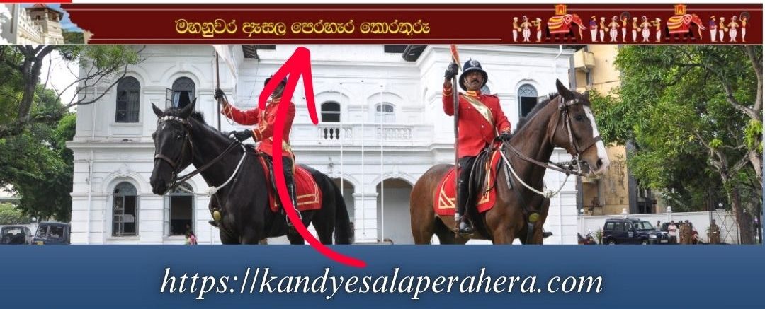 Special Information Management System Introduced to Facilitate the Public Attending the 2026 Kandy Esala Perahera